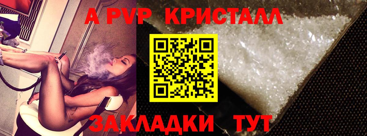 A PVP СК КРИС Нижнекамск