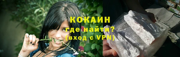 альфа пвп Новодвинск
