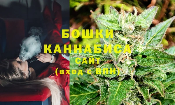 альфа пвп Новодвинск