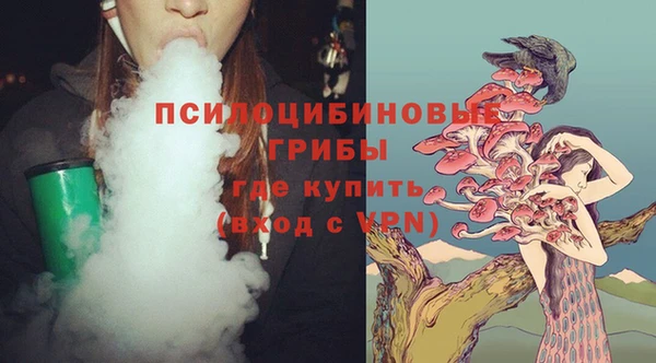 мескалин Новозыбков