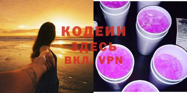 индика Котовск