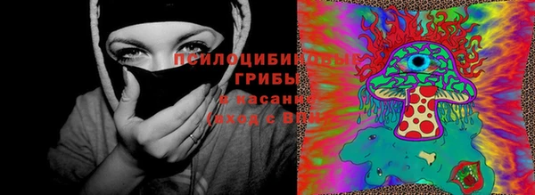 альфа пвп Новодвинск